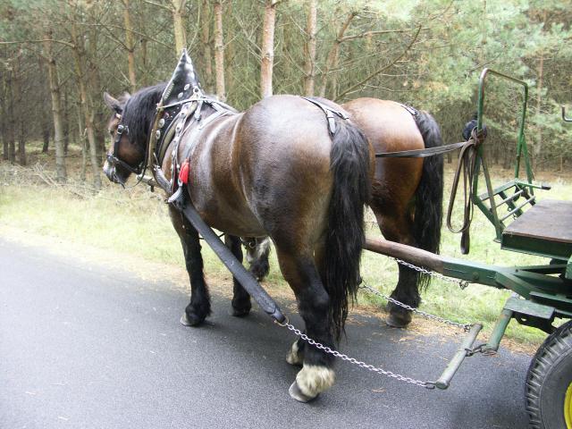 Rundweg um die Seen