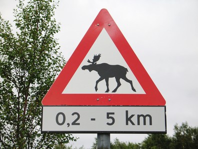 Bild-277.jpg