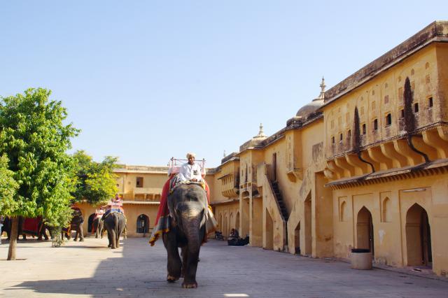Indien20161020_00194.jpg