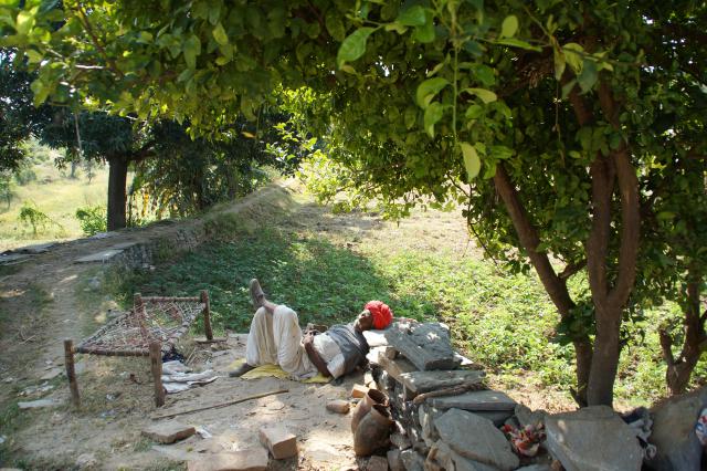 Indien20161025_00521.jpg