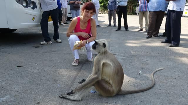 Indien20161026_00601.jpg