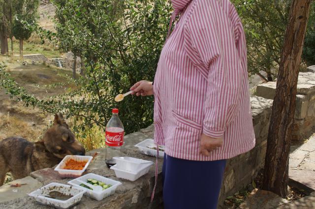 Iran_20180919_0171.jpg