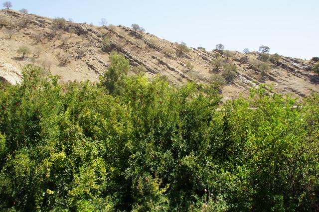 Iran_20180925_0516.jpg
