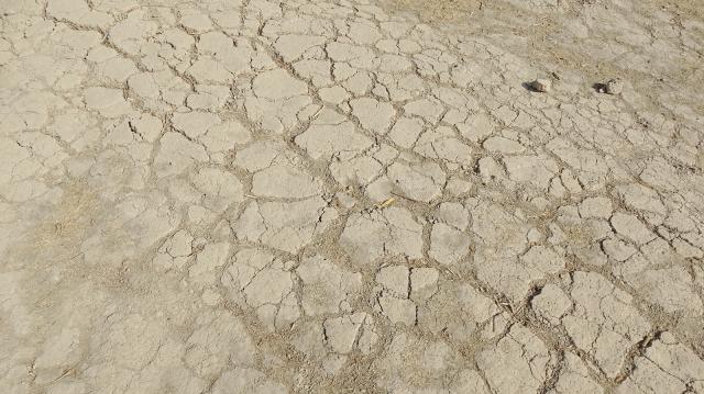 Iran_20181004_1126.jpg