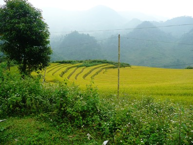 Vietnam0377.jpg
